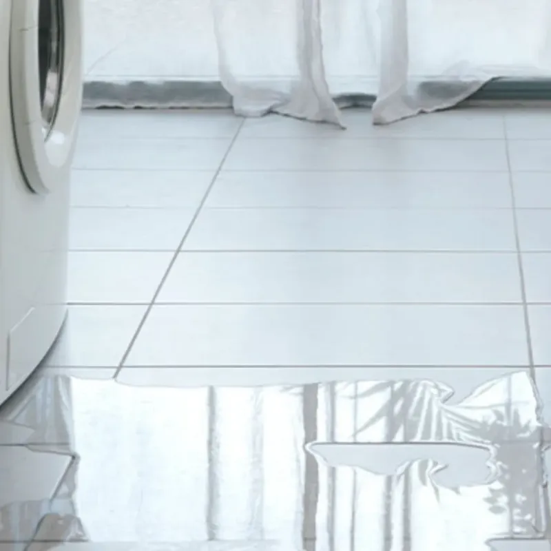 Appliance Leak Cleanup in Lake Wildwood, CA