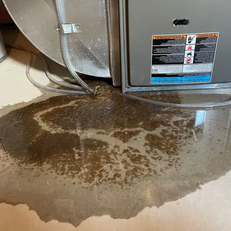 Pipe Burst and Leak Restoration in Lake Wildwood, CA