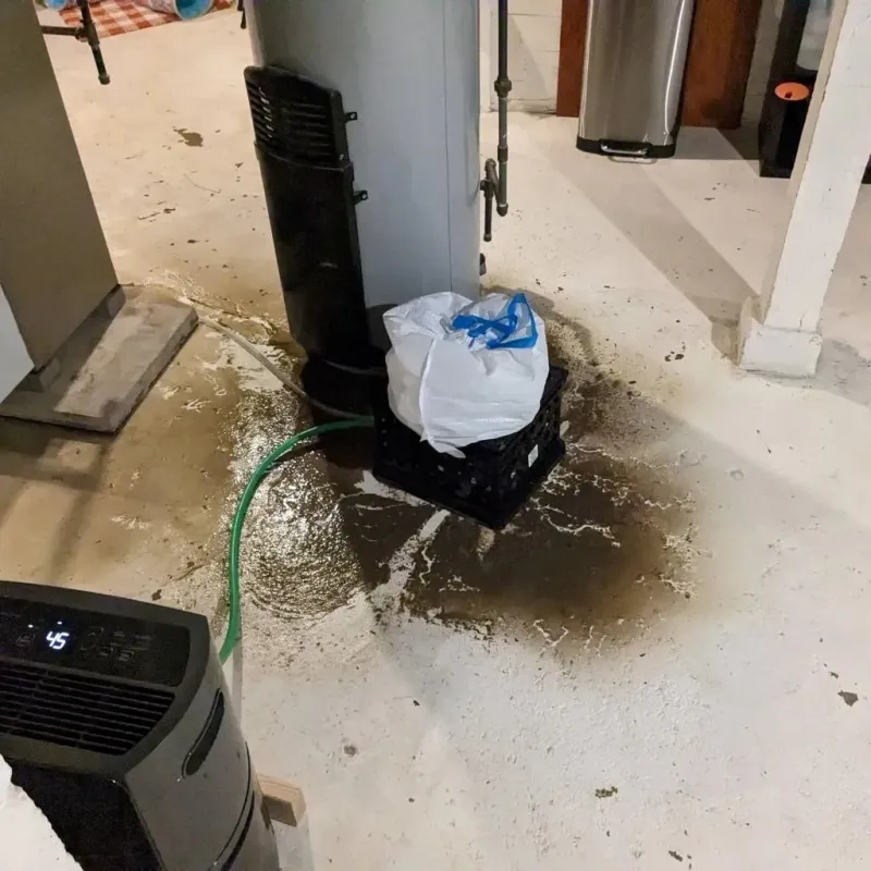 Sewage Backup Cleanup Service in Lake Wildwood, CA